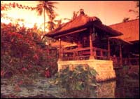 Bali Hyatt - Pool Bungalow