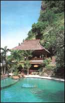 Kubu Bali Bungalows - Pool