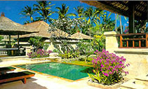 Melia Bali Resort Spa - Pool